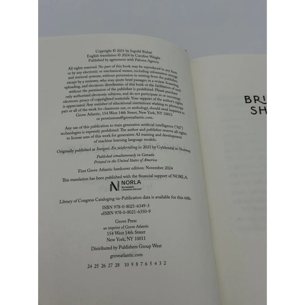 Brightly Shining Hardcover Ingvild Rishøi